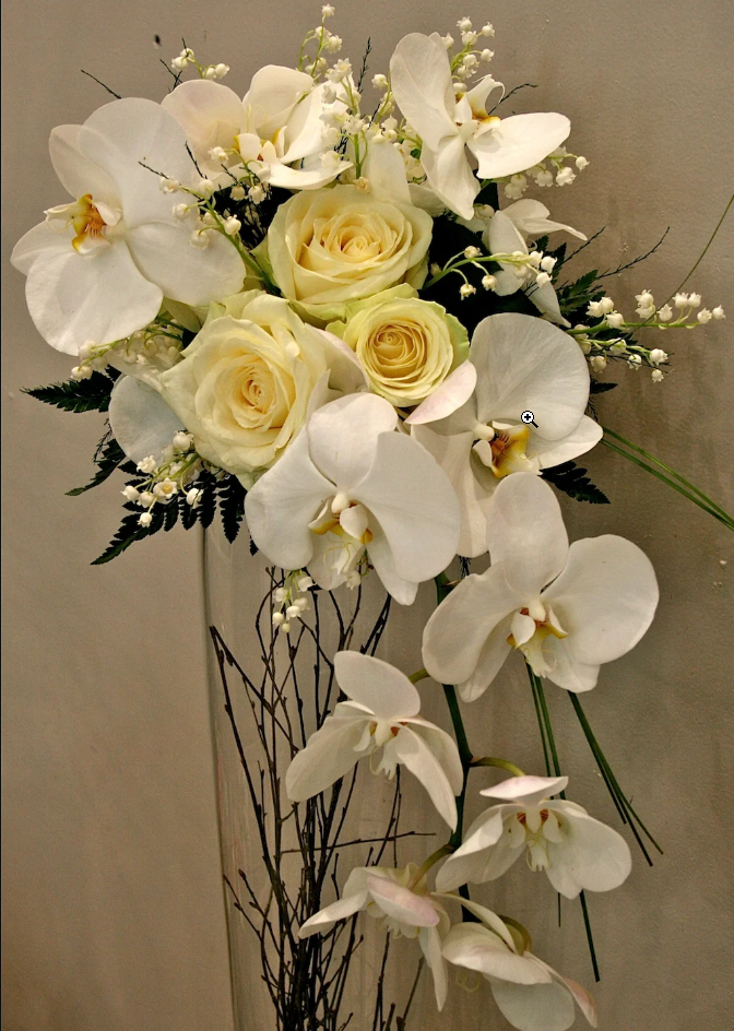 Elegant Orchid Display